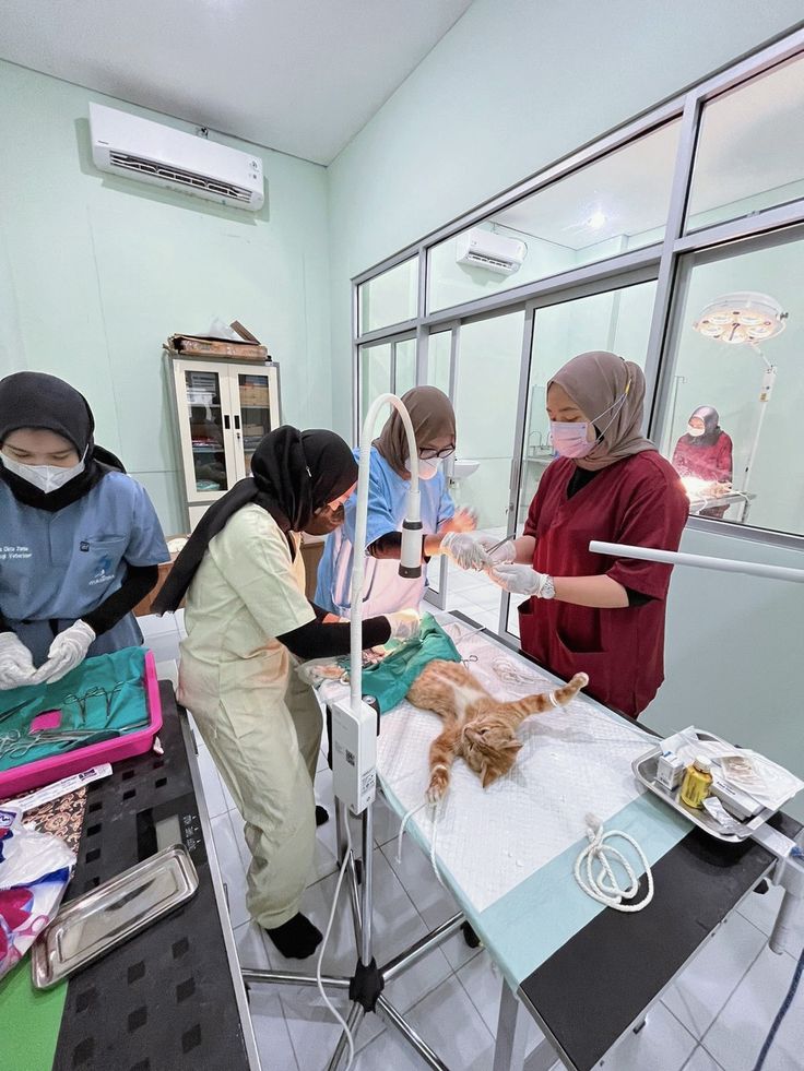 SOP Klinik Hewan & Pet Hospital
