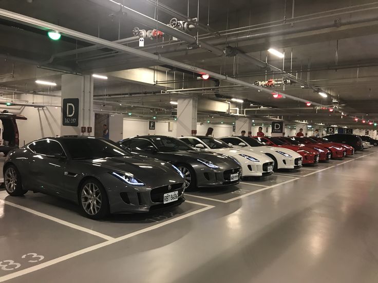 SOP Usaha Persewaan Mobil Mewah
