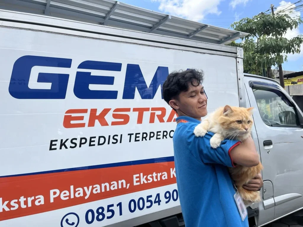 SOP Jasa Ekspedisi Hewan Ternak