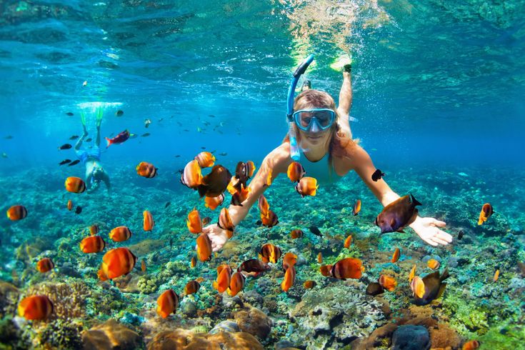 SOP Diving & Snorkeling