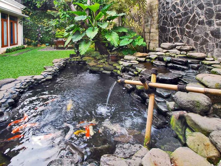 SOP Jasa Pembuatan Kolam Ikan