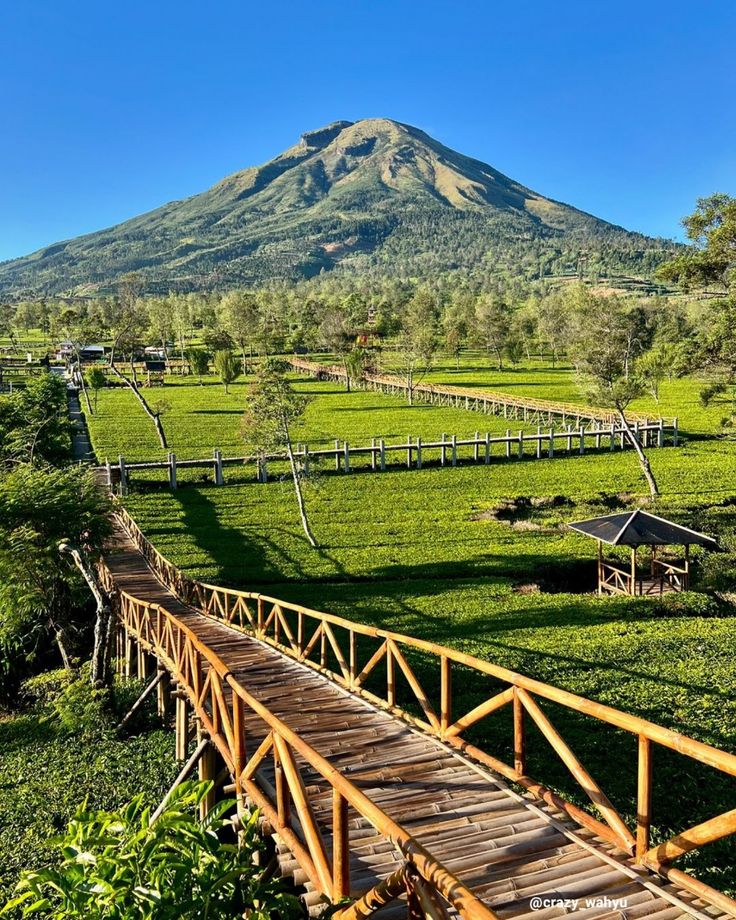 SOP Wisata Agro (Agrowisata)