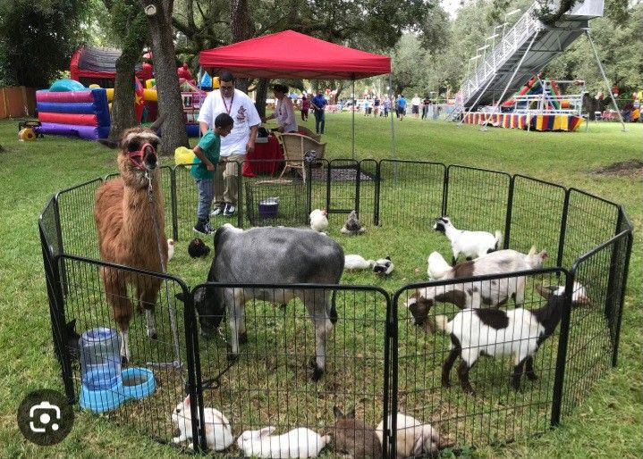 SOP Mini Zoo & Petting Farm